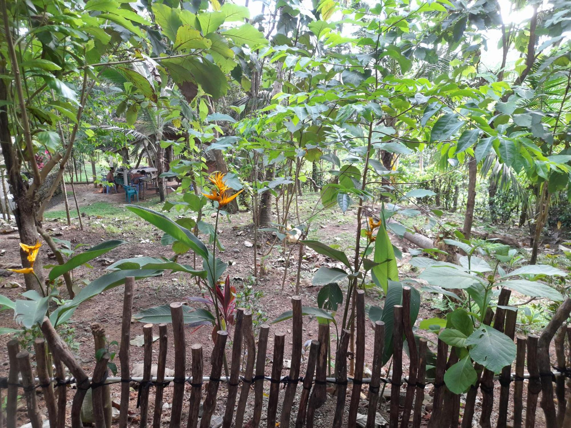 Linu Homestay Dikwella Bagian luar foto