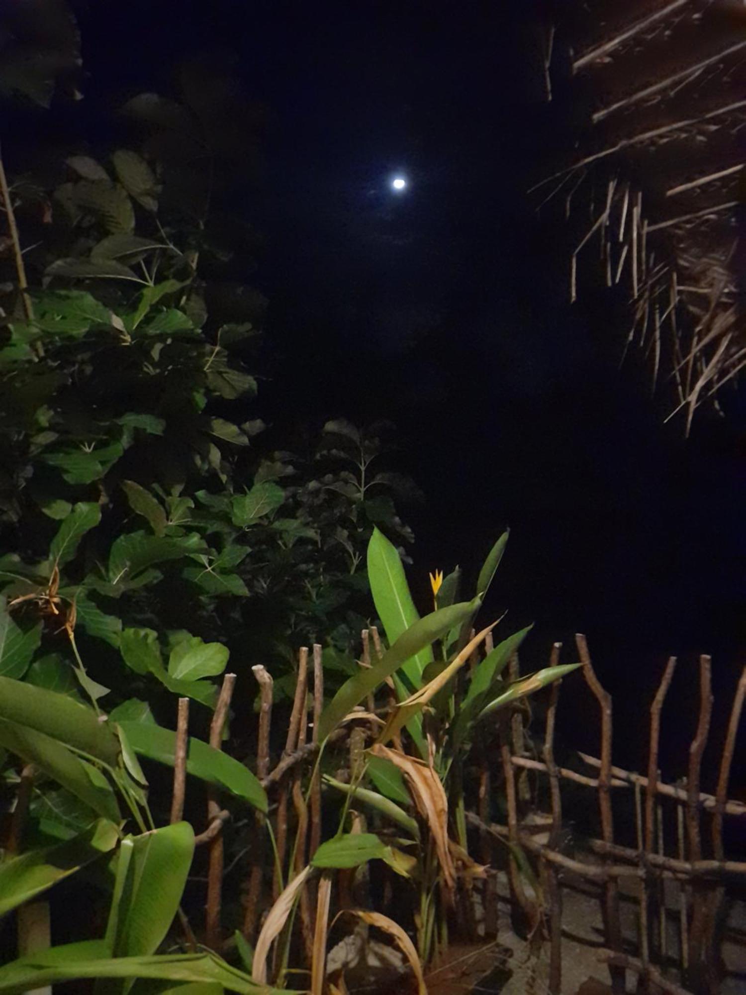 Linu Homestay Dikwella Ruang foto